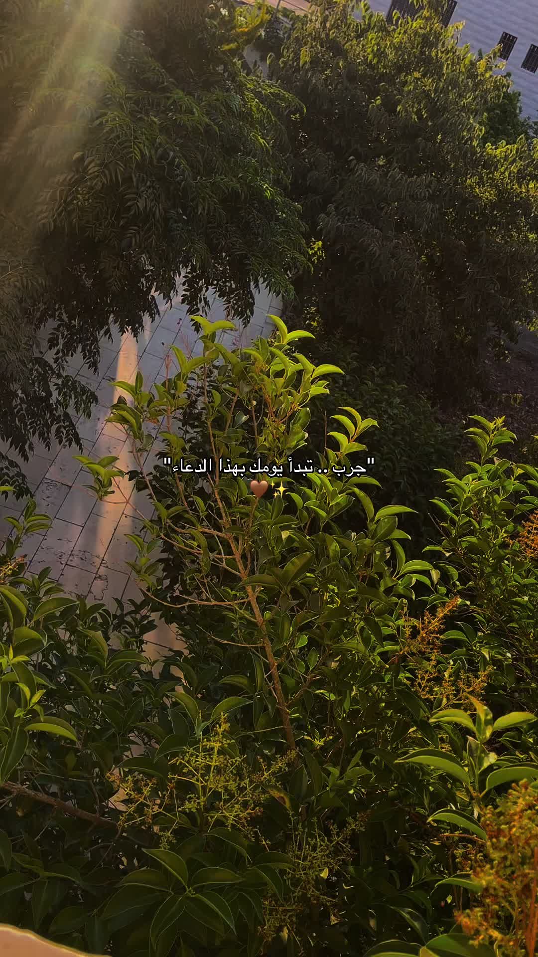 @شَغّفْ🍂🤎