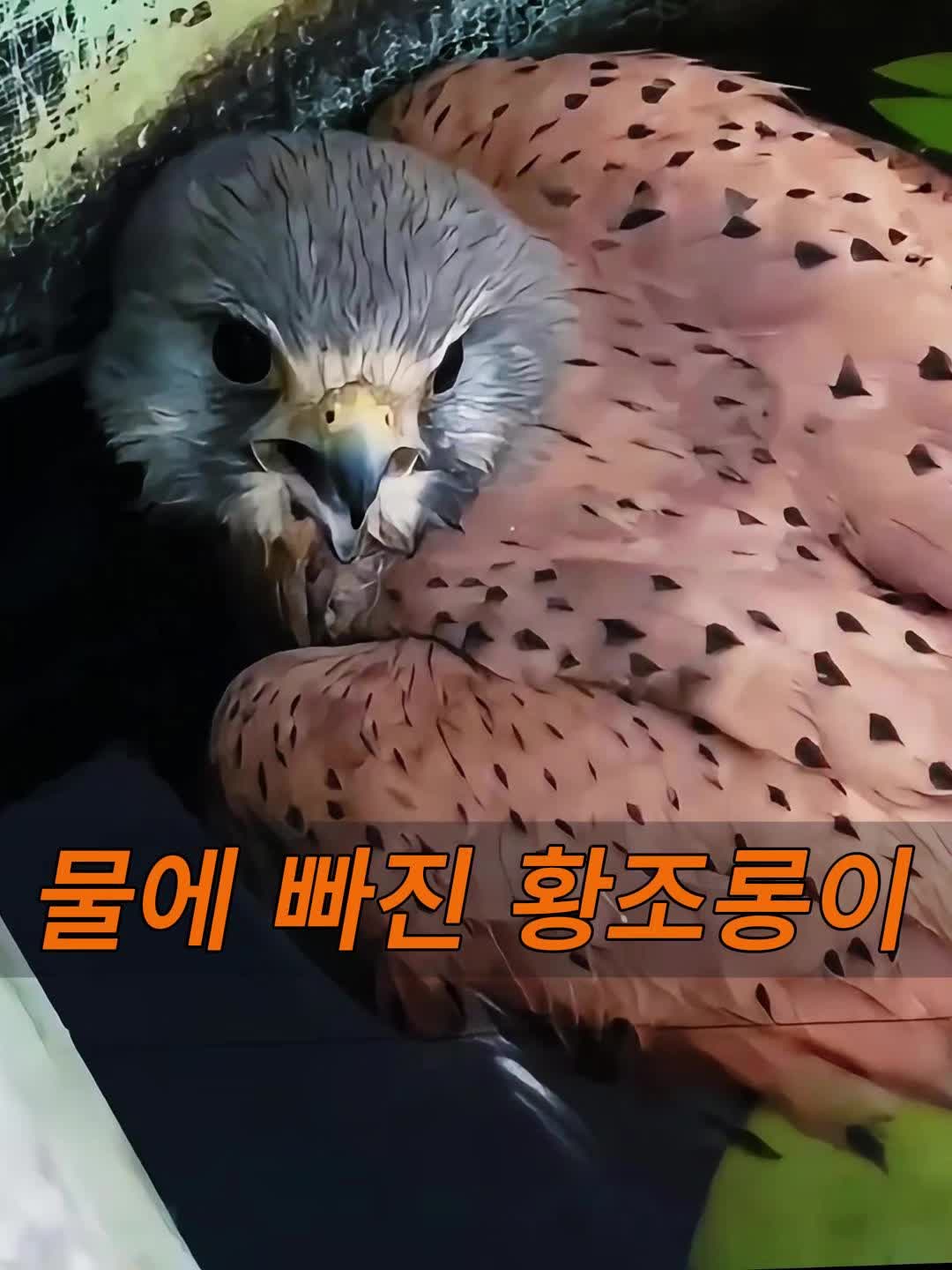 @삼촌Cut2025