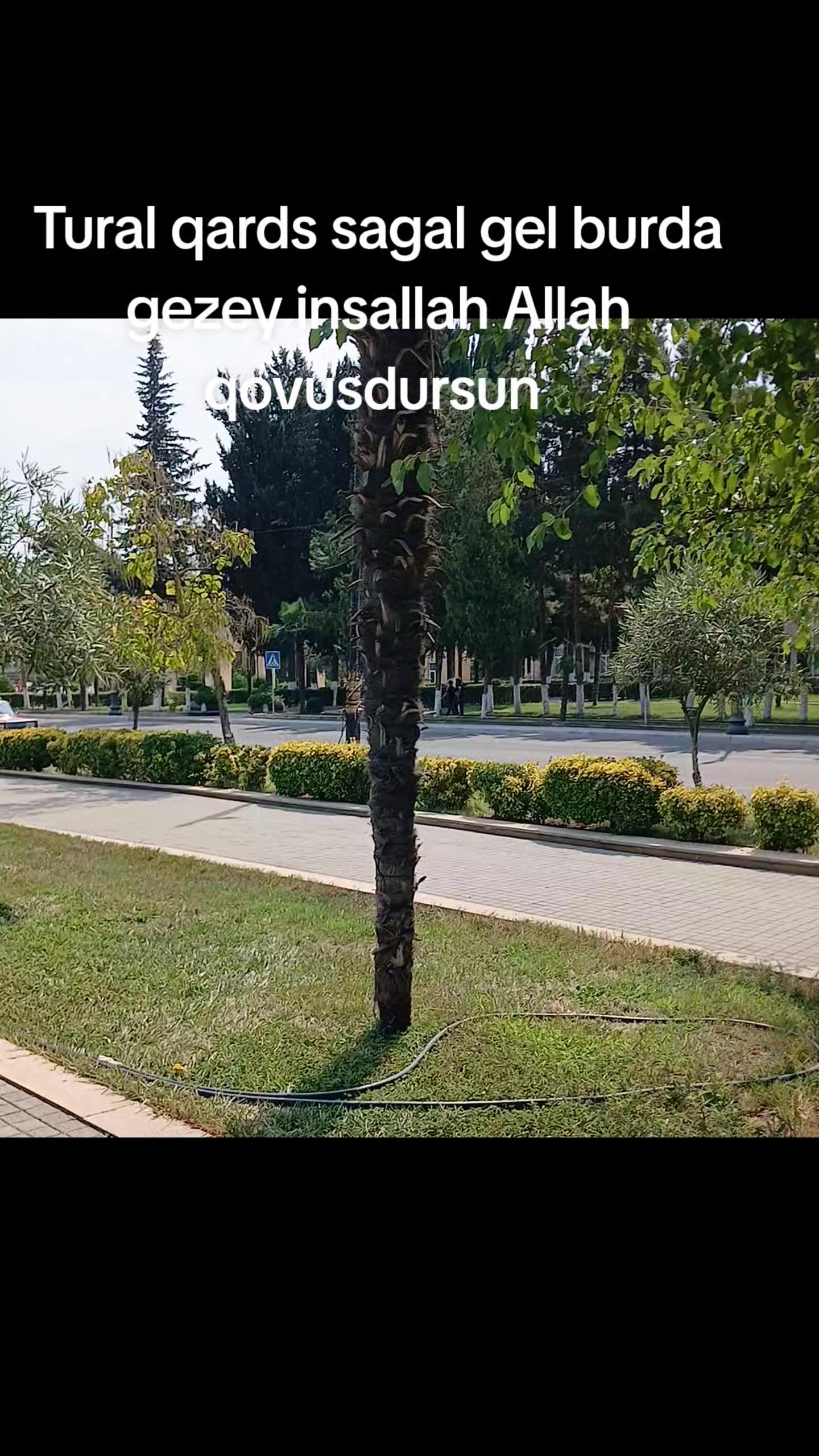 @Barış