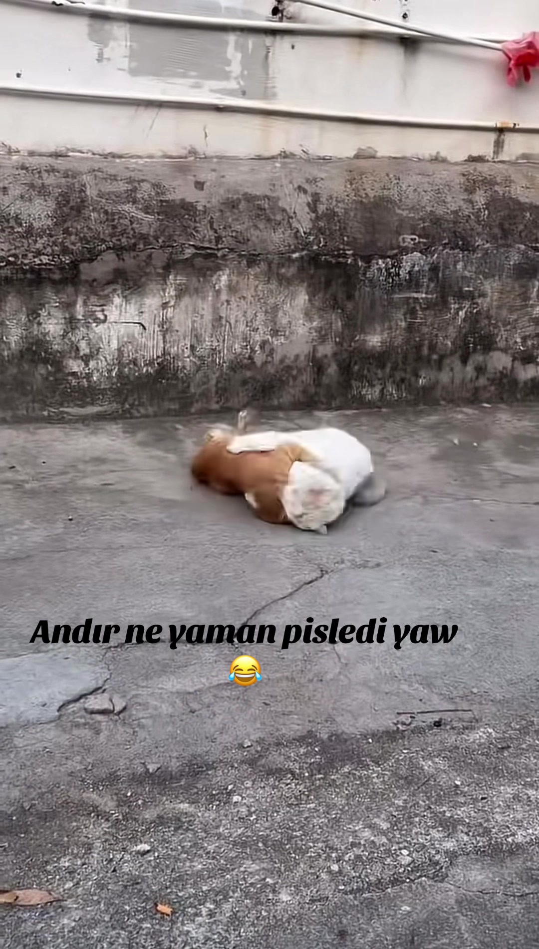 @ONUR_KURUTAŞ_75