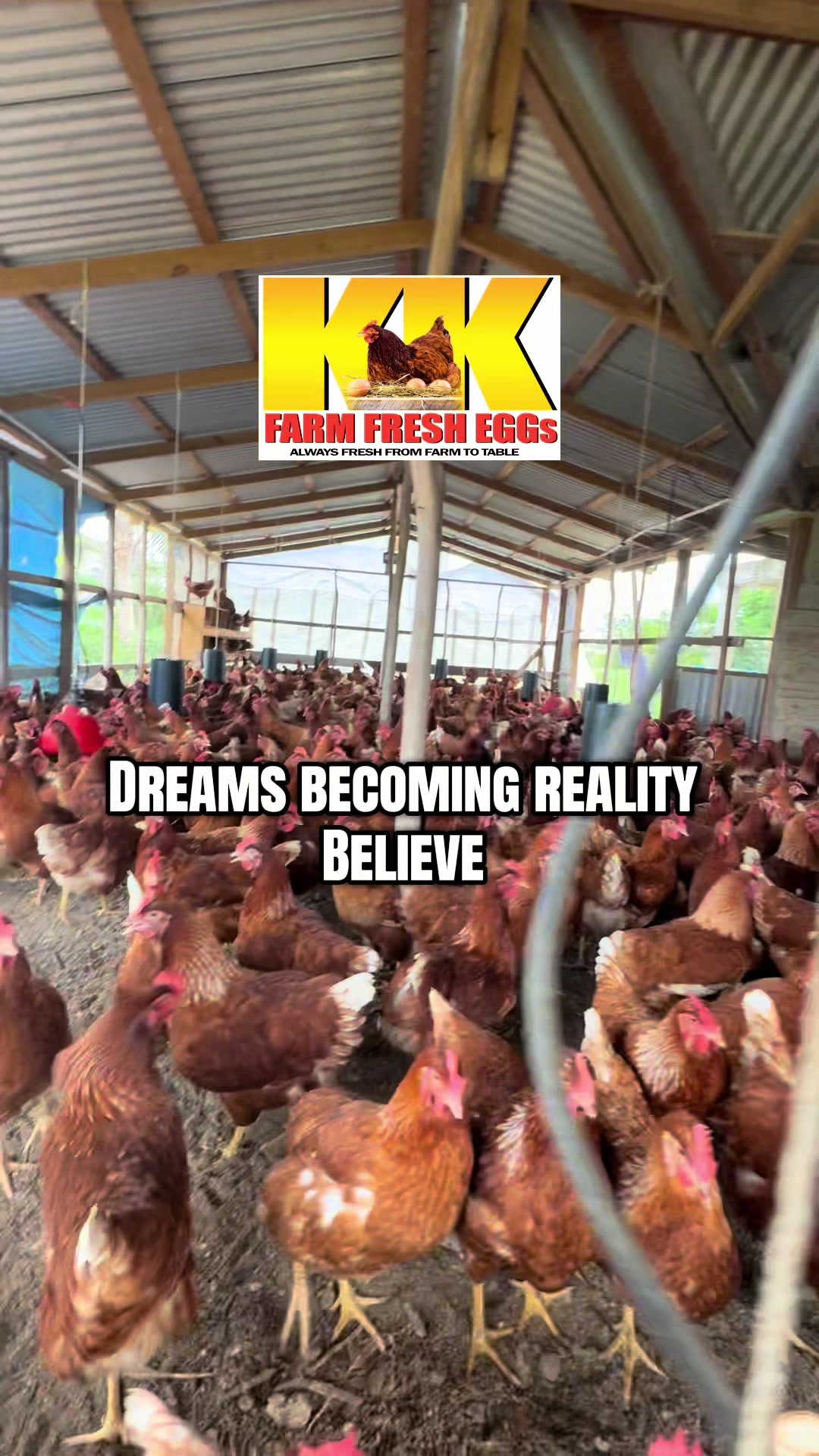 @KK Farm Fresh LTD.🇯🇲