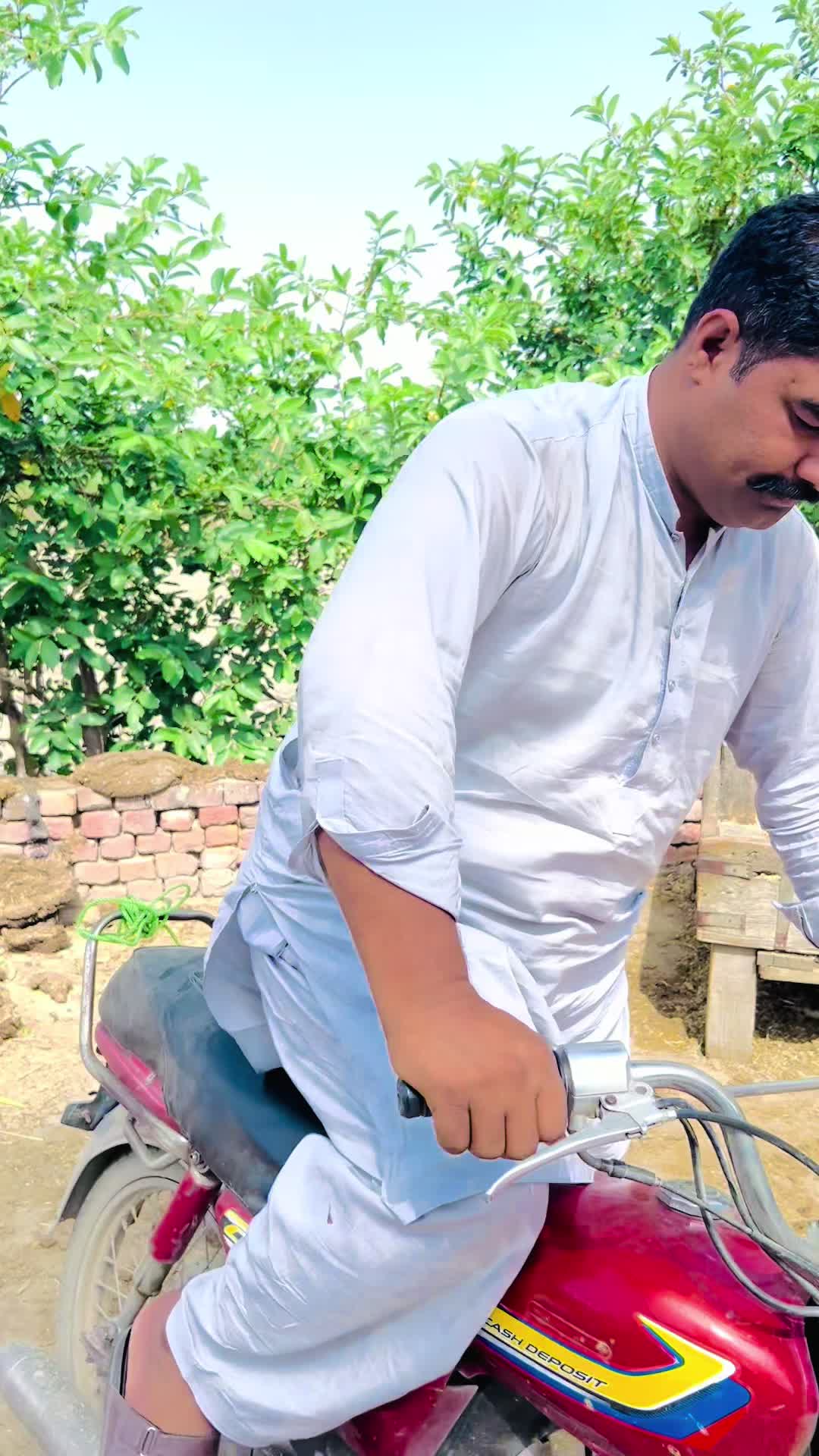 @Alihassantoor