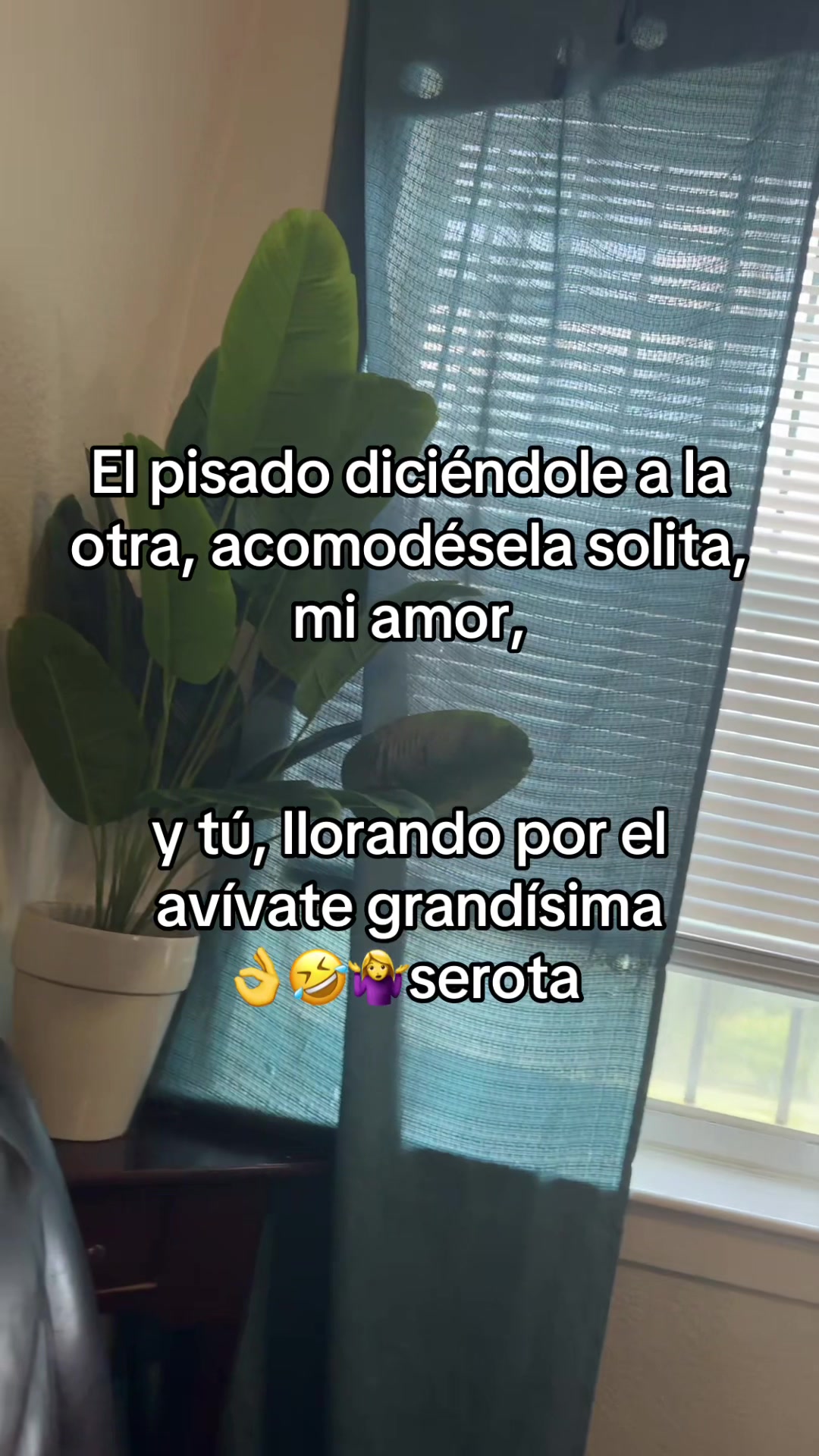 @🇭🇳clari-100%,catracha🇭🇳