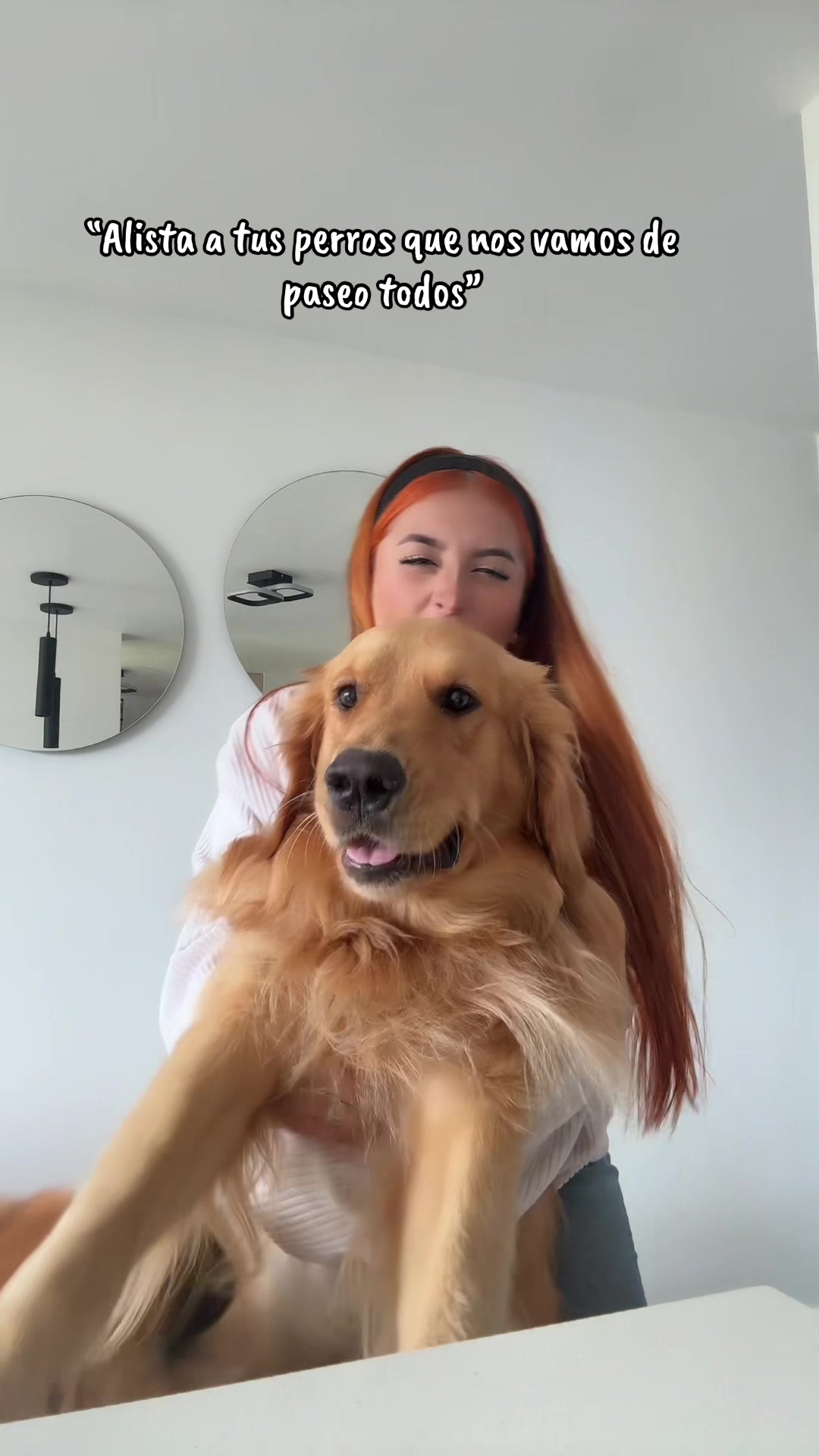 @Soy Milo 🐶