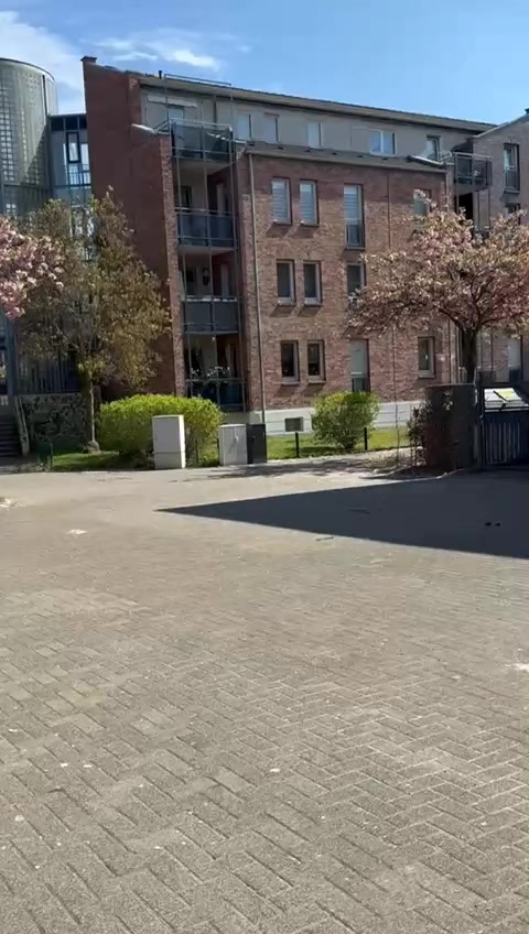 @𝑺𝒊𝒍𝒆𝒏𝒕ꨄ