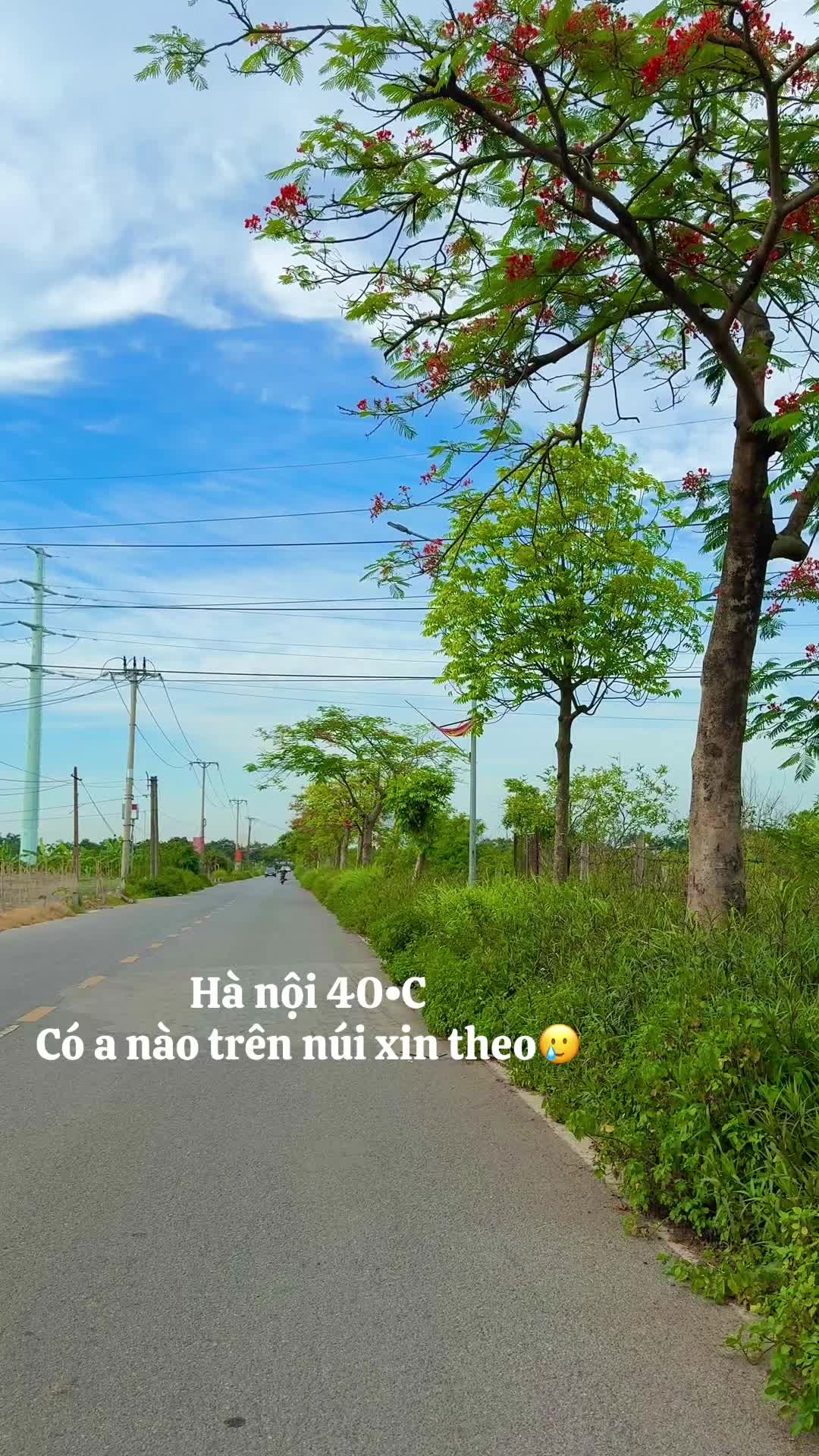 @C&uacute;c hoạ mi🍀