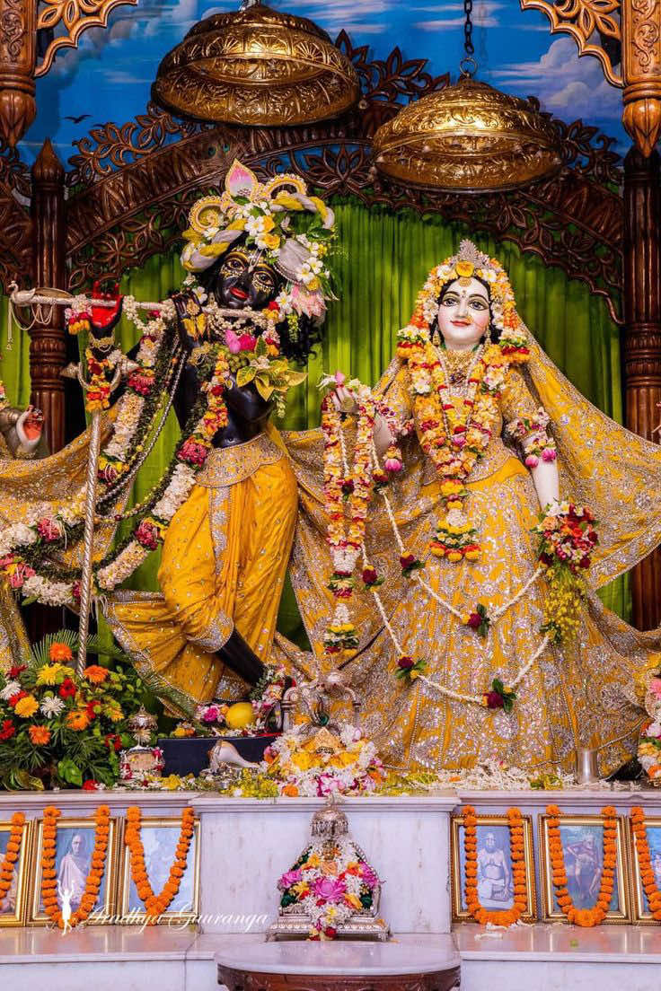 @Shova Karki