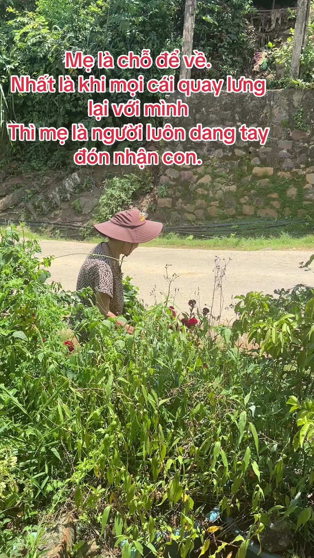 @Hoa sún ( nhí nhố)