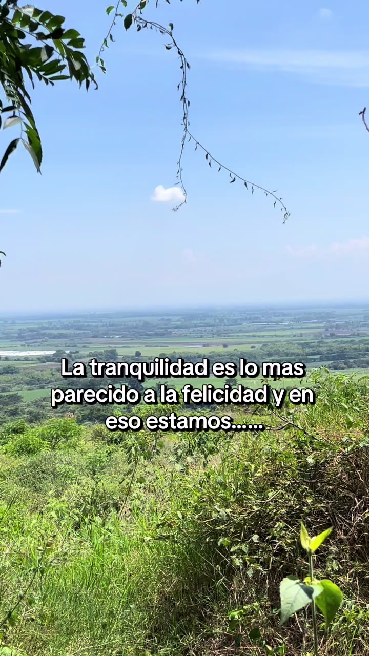 @marcebarbosa