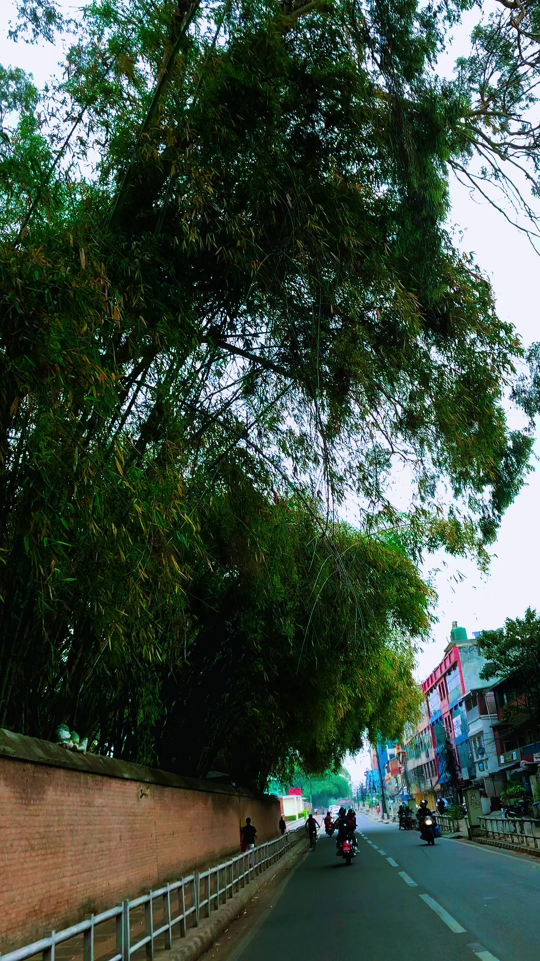 @prabin lama