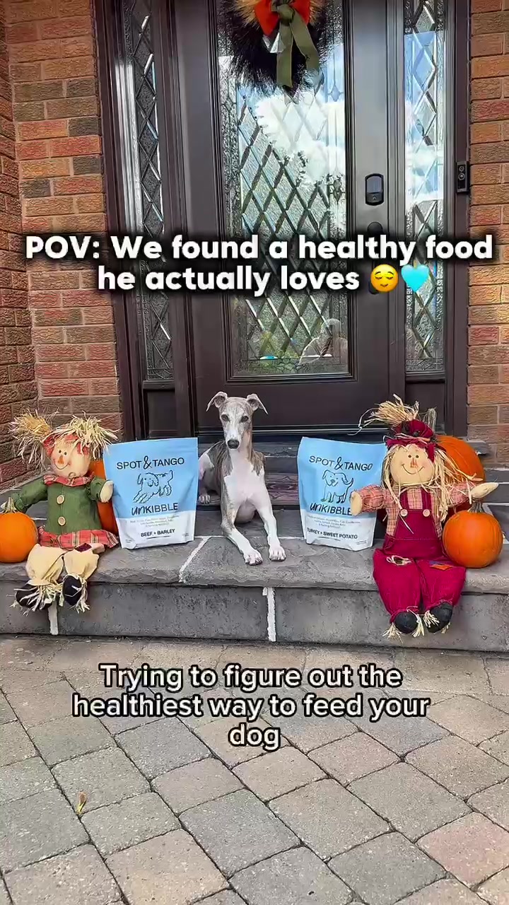 @Kayce Dog🤪🩷