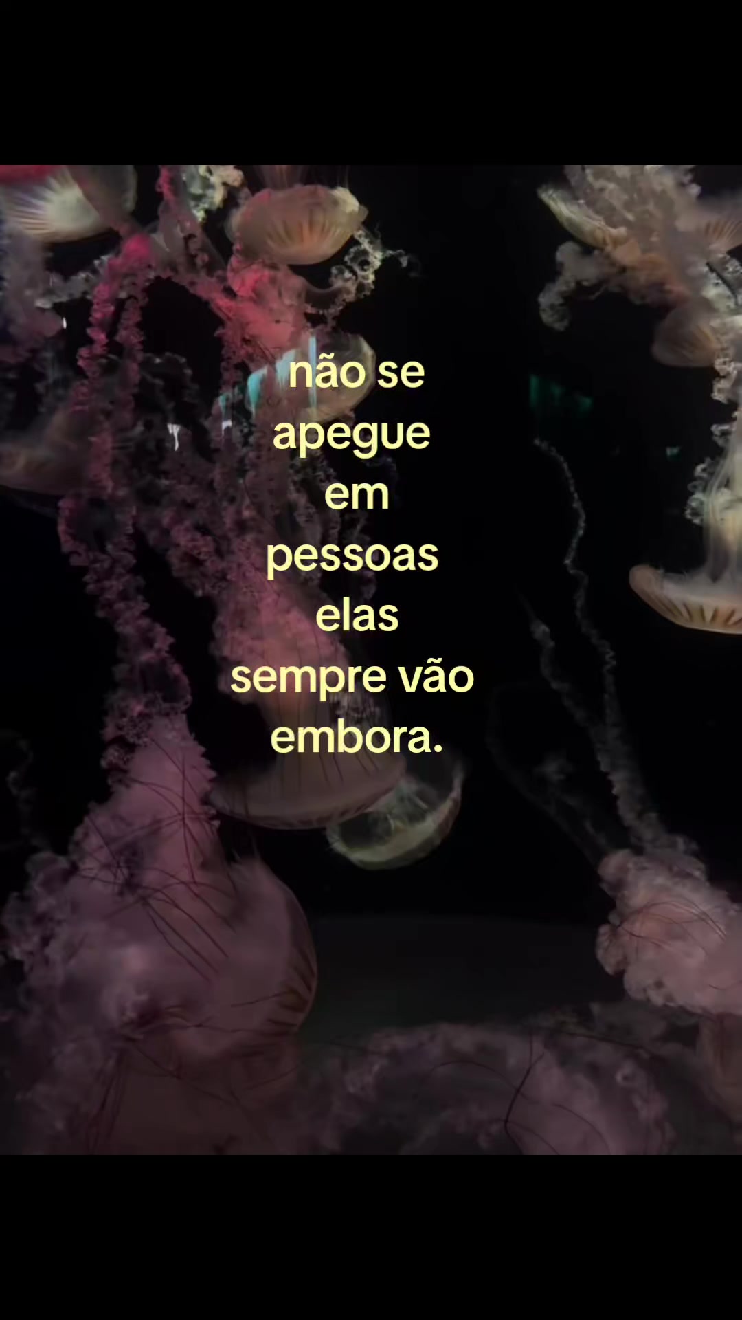@Silva𓅓