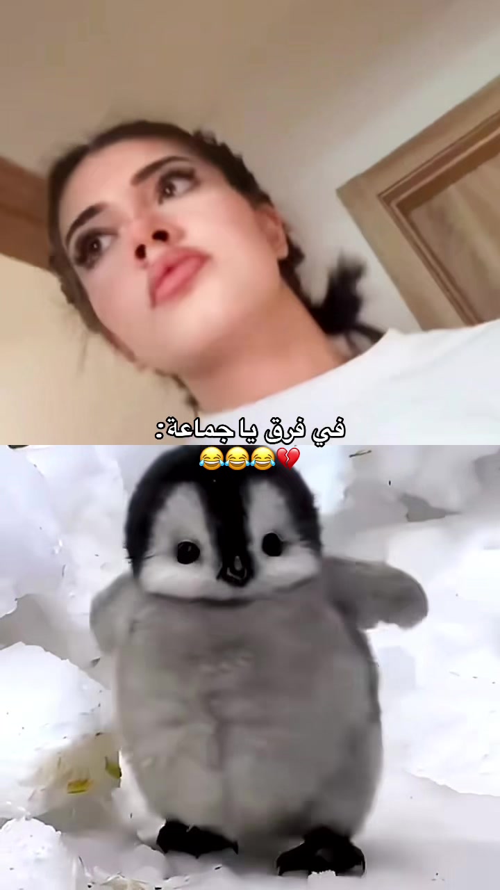 @𐙚 بتول | 𝓑𝓪𝓽𝓸𝓾𝓵