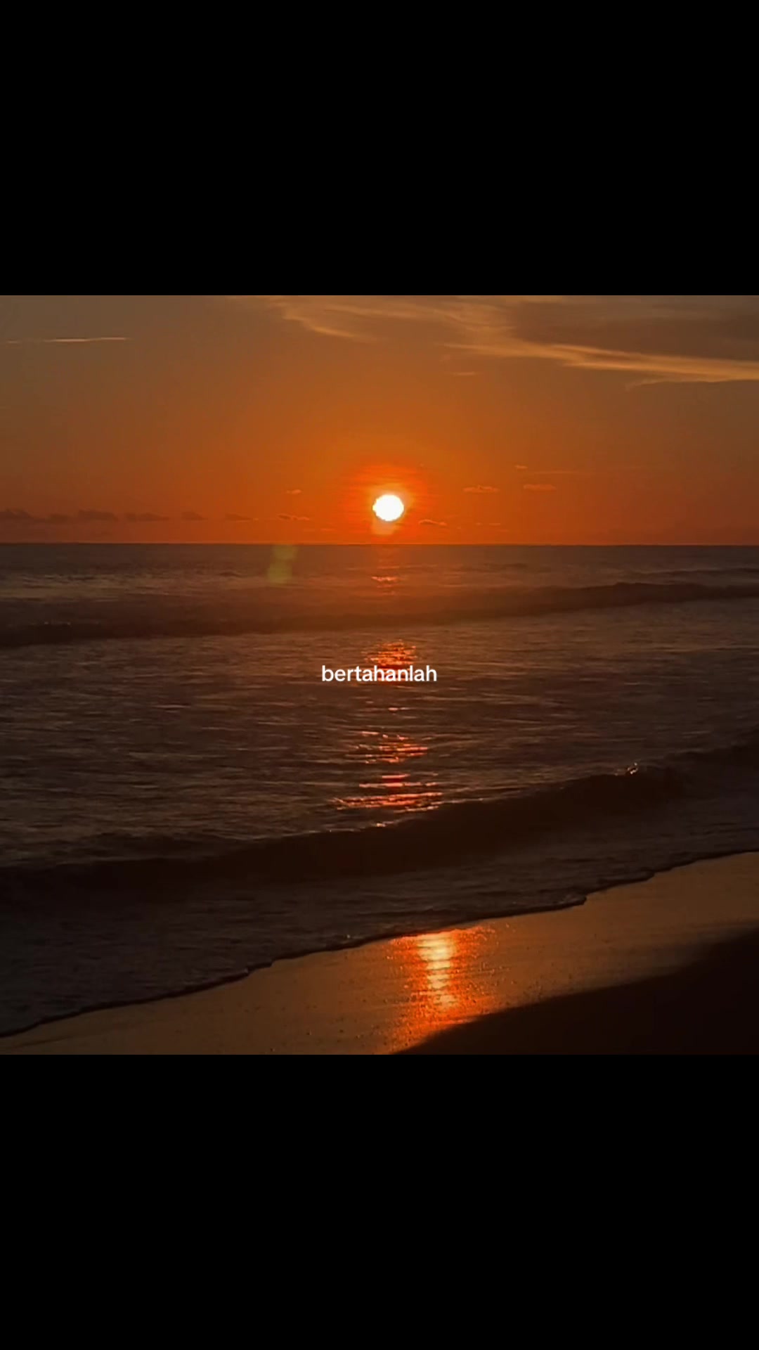 @lonelynes🥀