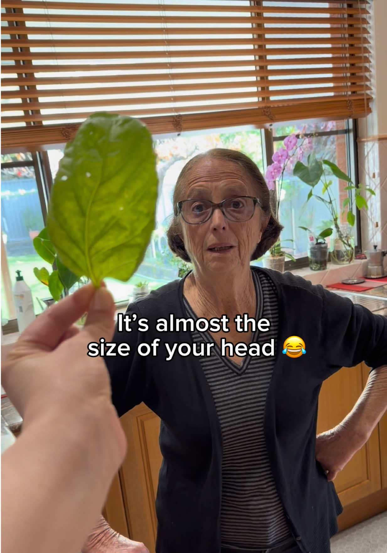 @Maddie and Nonna