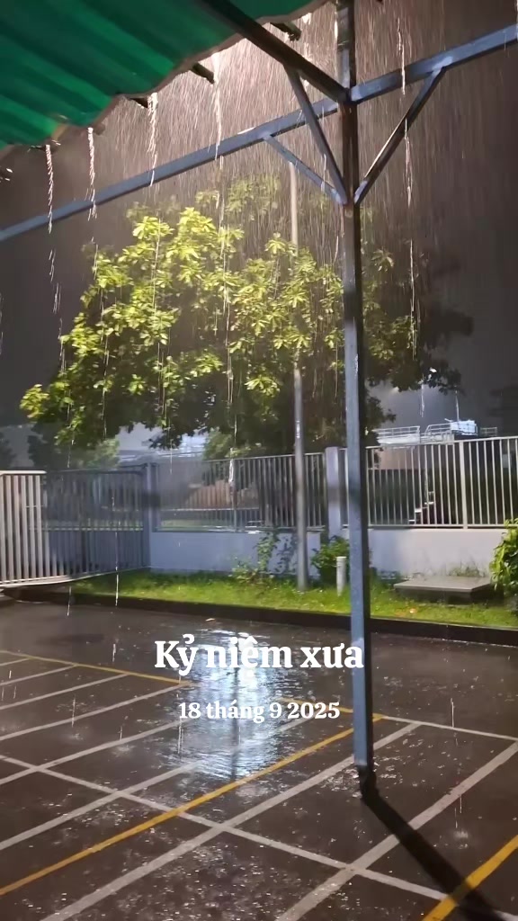 @nguyễn dung