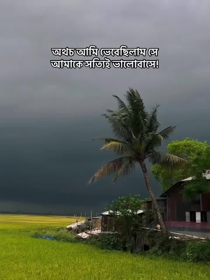@Sujana Alam