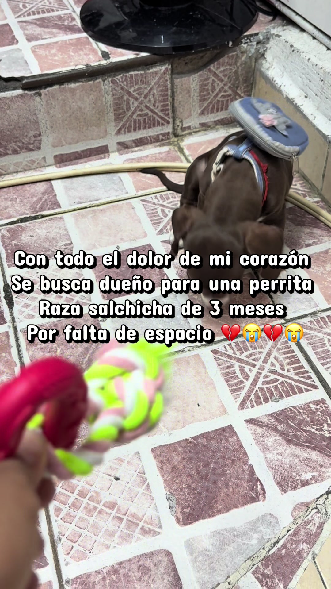 @Yamileth Ramírez