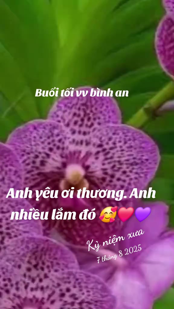 @nguyễn dung
