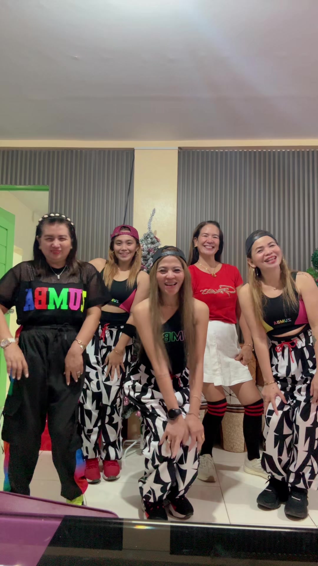 @ZumbaZisters&ensp;ZinANN