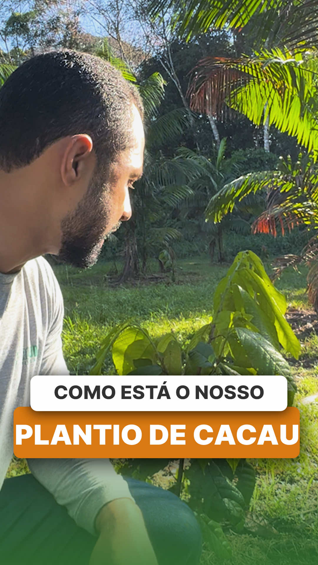 @ViveiroProMudas