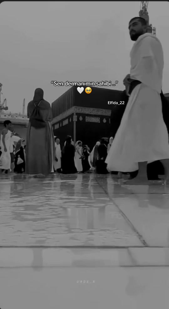 @Elfida_22