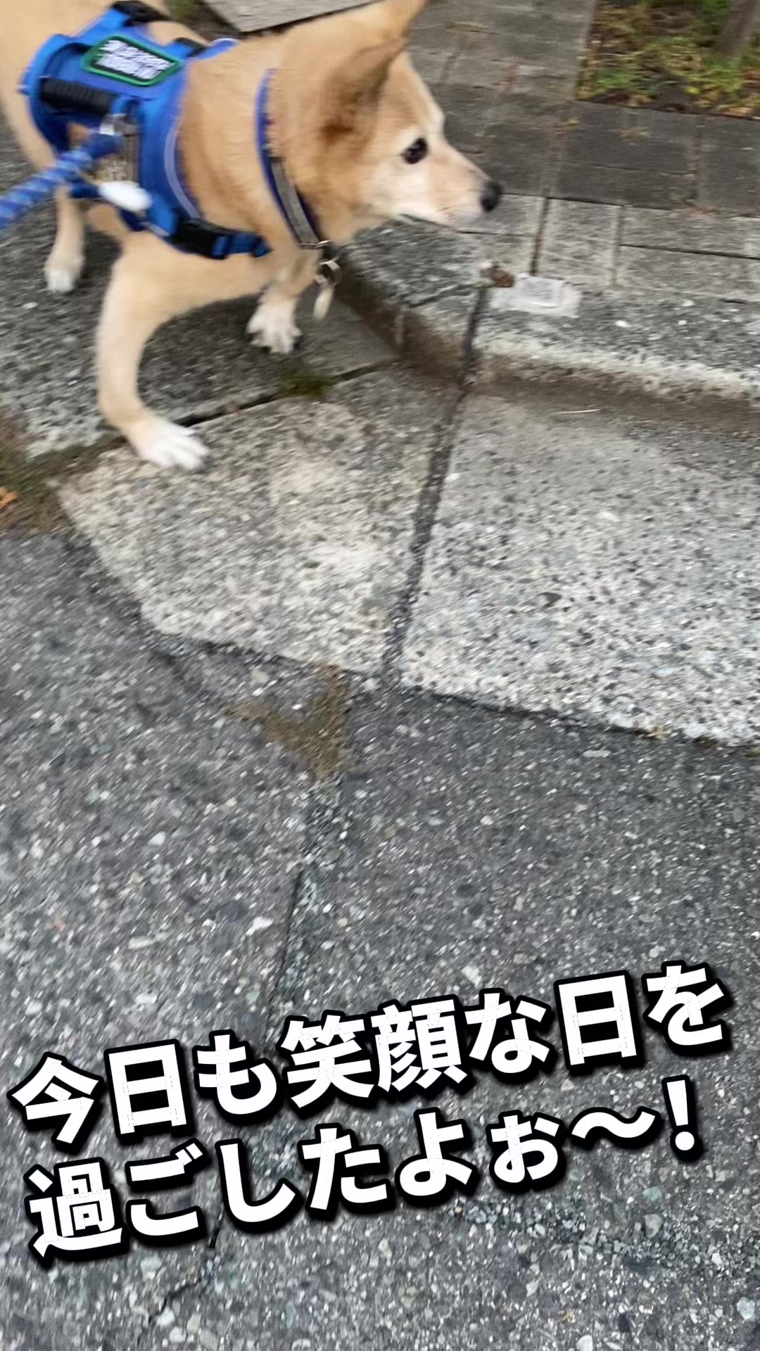 @てる