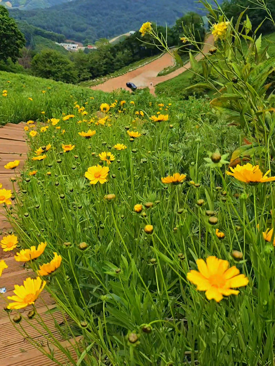 @Korea♡Vietnam🇰🇷🇻🇳