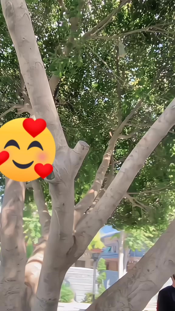 @ᴵᴬᴹراجپـــــــوت☠︵☠️