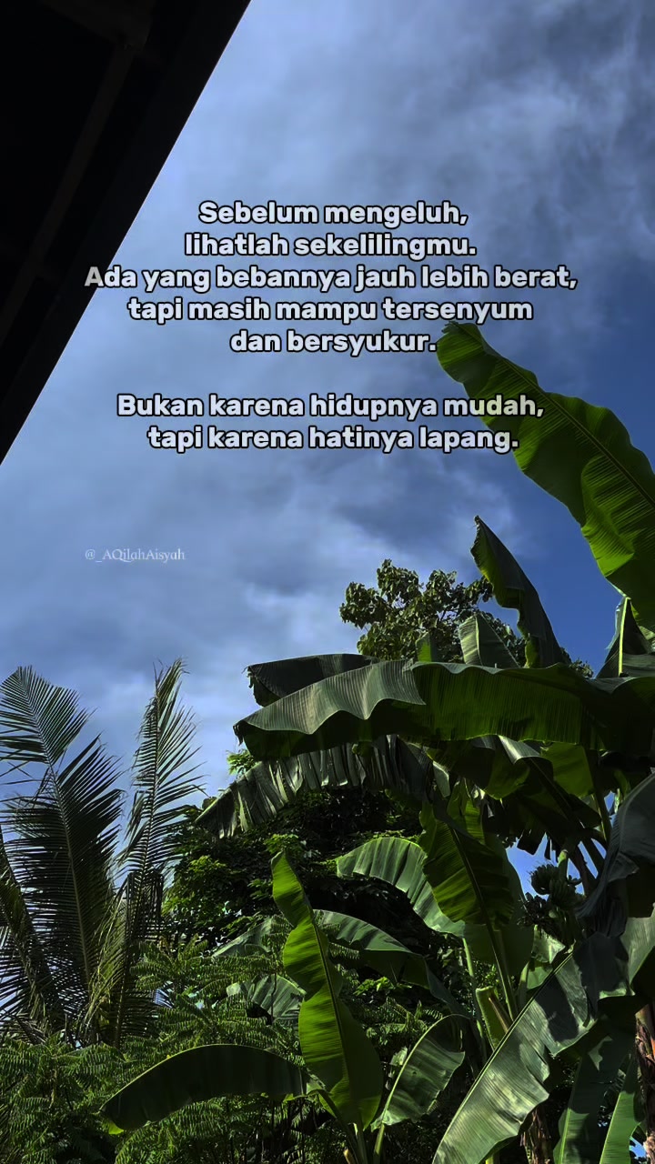 @AQilah Aisyah WT