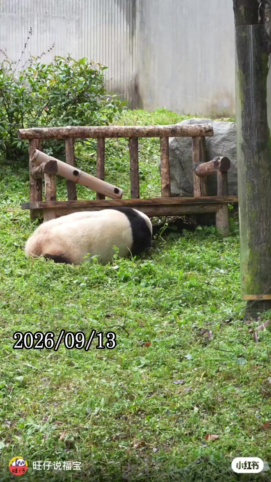 @福寶需要愛的抱抱