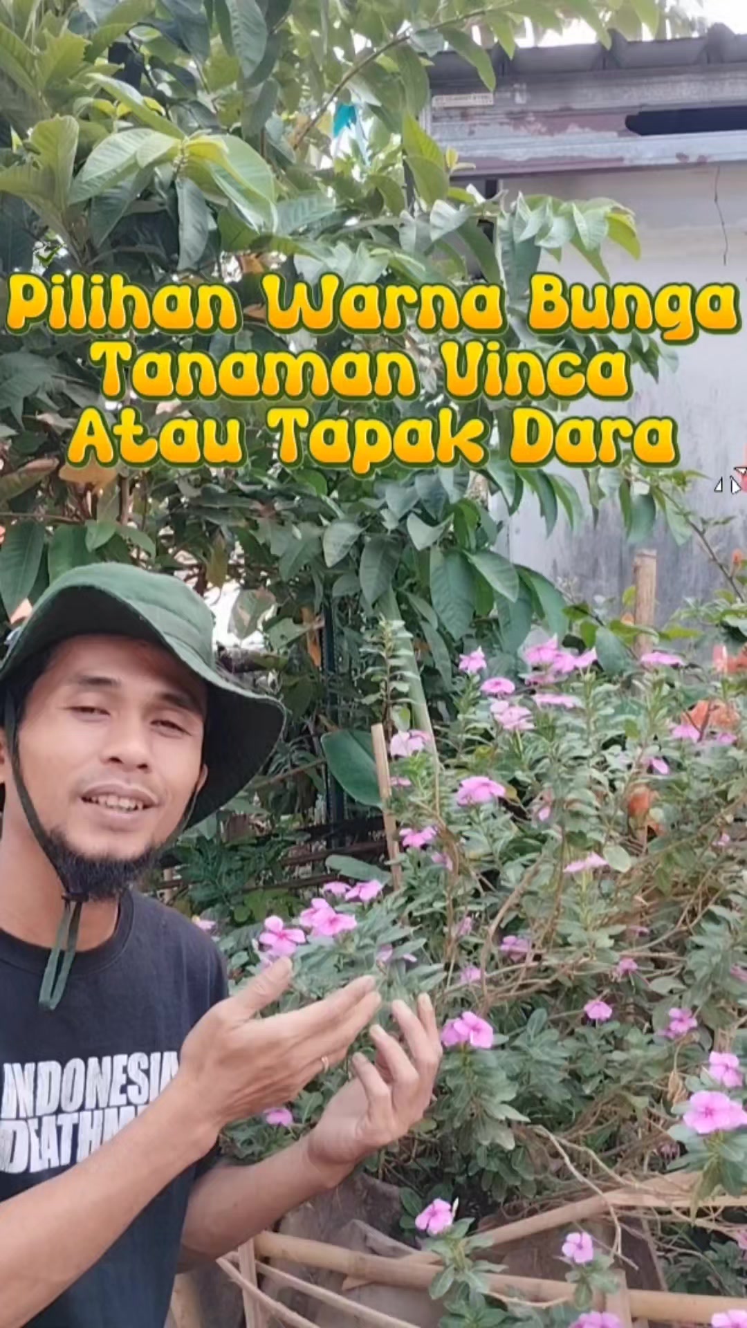 @Bukit Farming