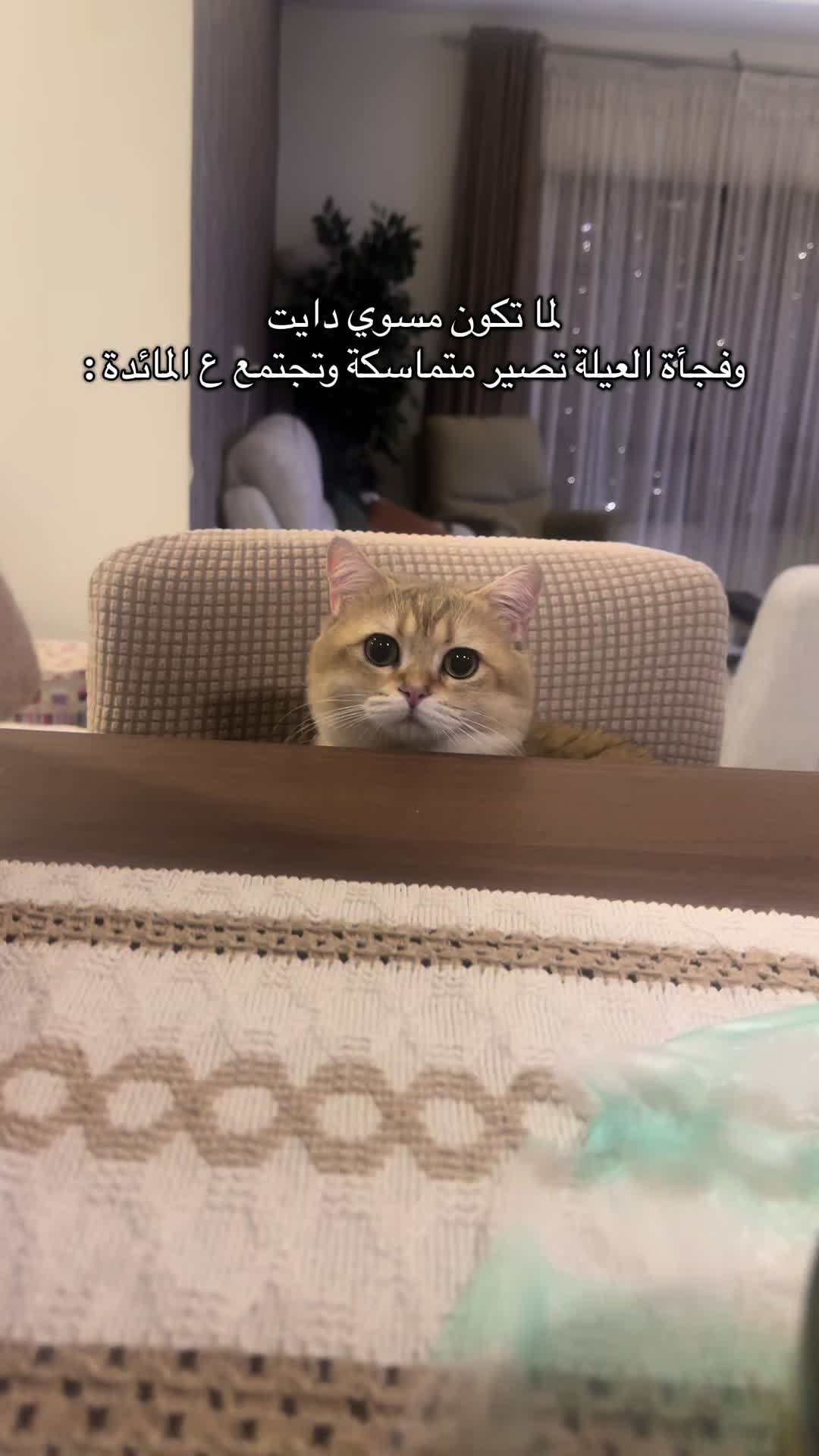@الديموزيل ✨