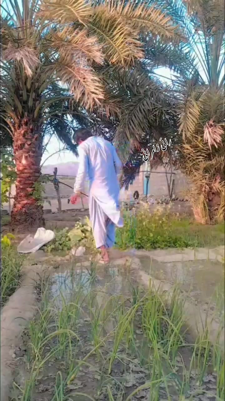 @Rahi zamurani