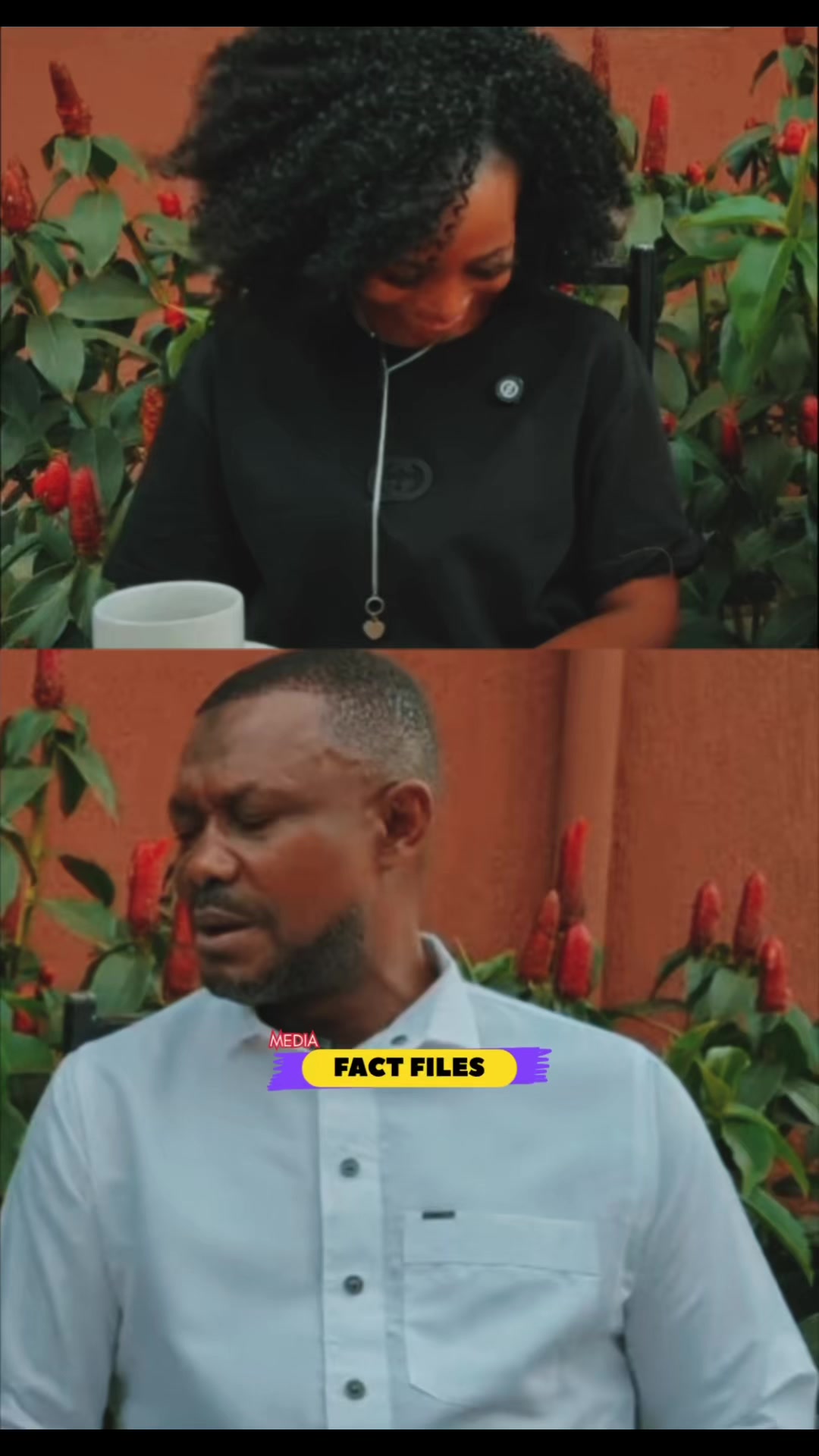@FactFilesMedia