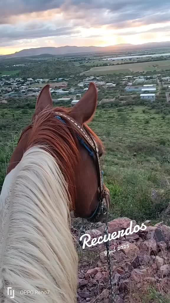 @Viejito Cordova✝️🍀❤️🐎🦅