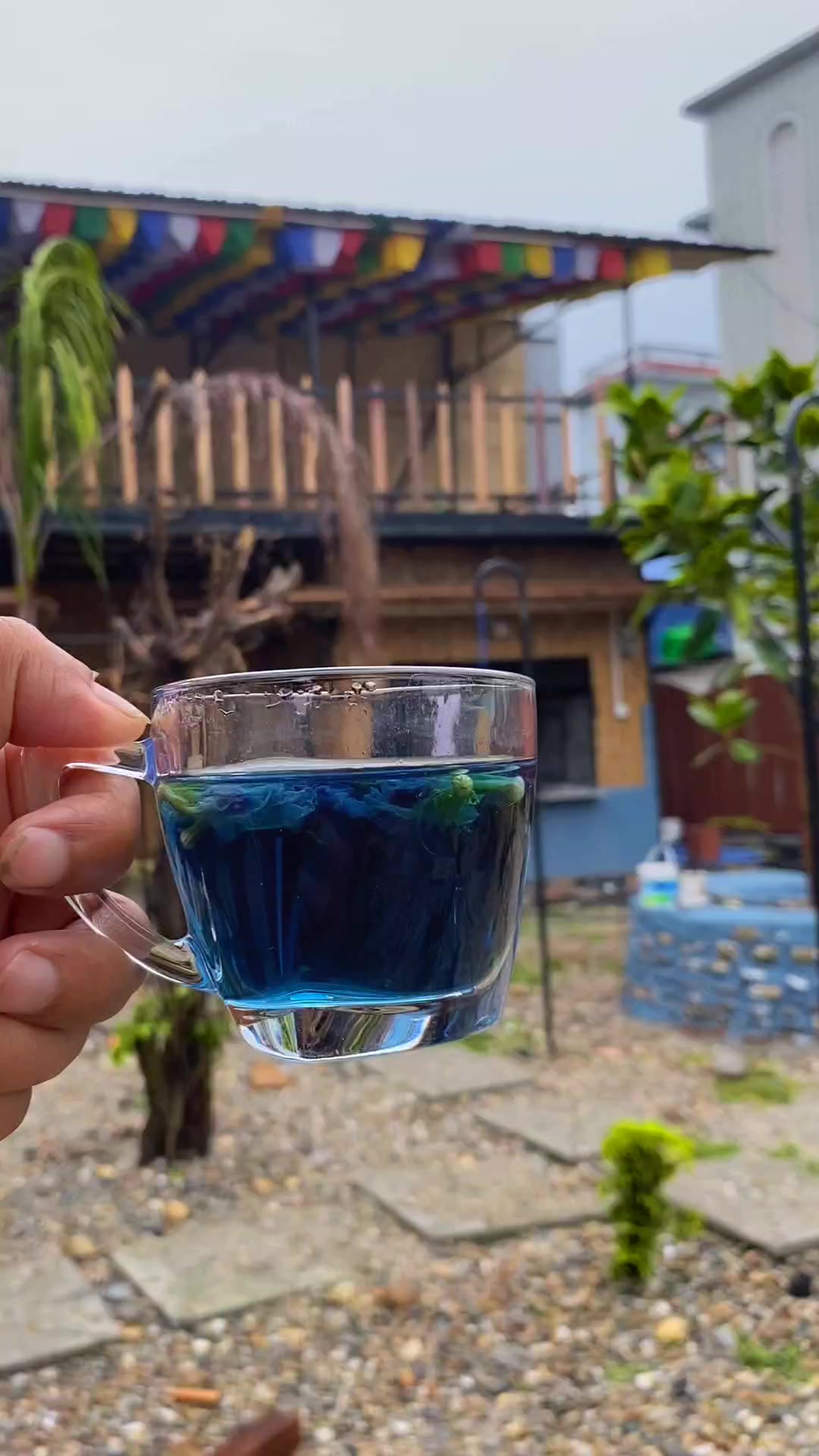 @Alish Chamling Vlog