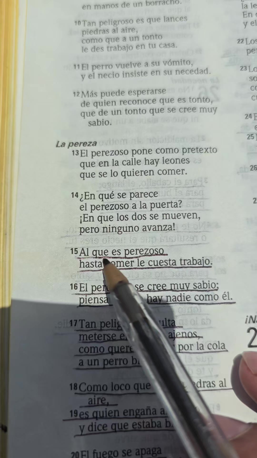 @Palabra de Dios
