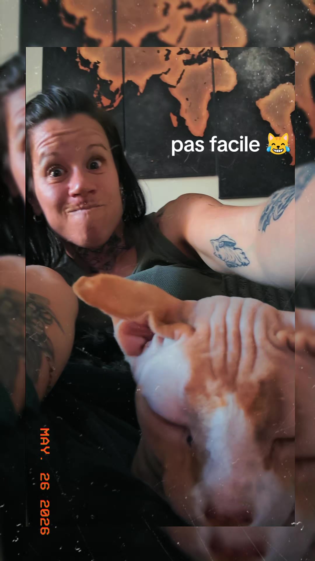 @Amy_dusoleildanstajournee