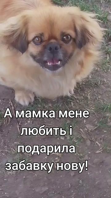 @Богдана Богдана