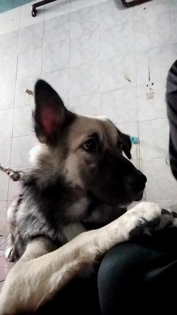 @CHAW SU