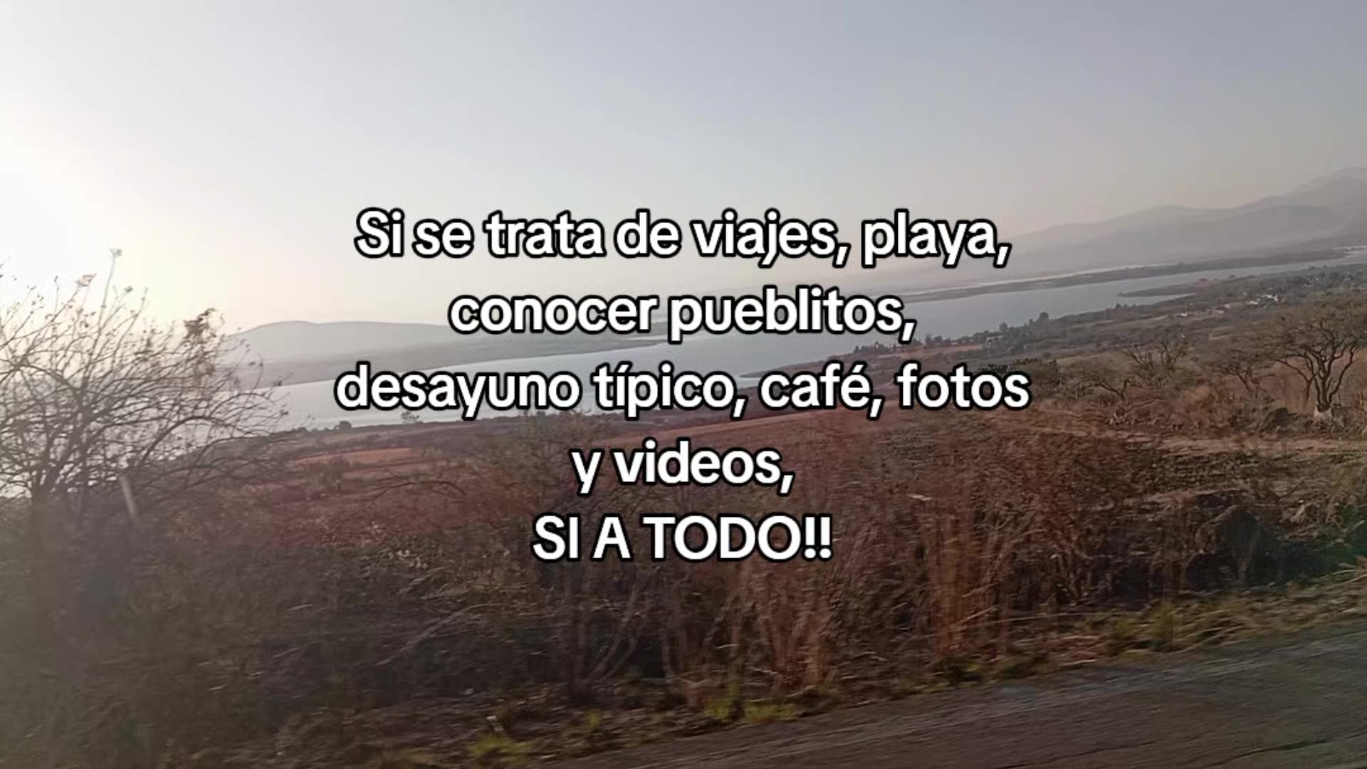@alexperea823
