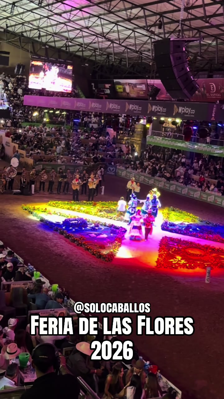 @Solo Caballos