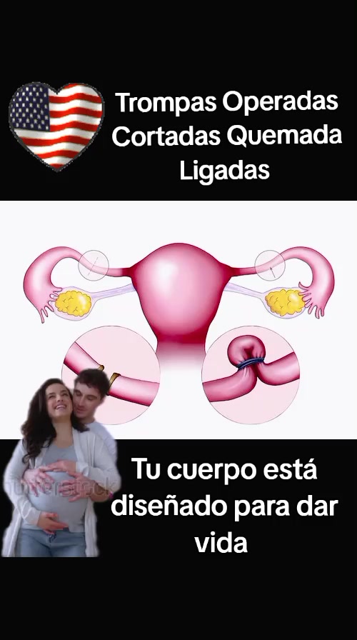 @@NaturalFertilityUSA🇺🇸
