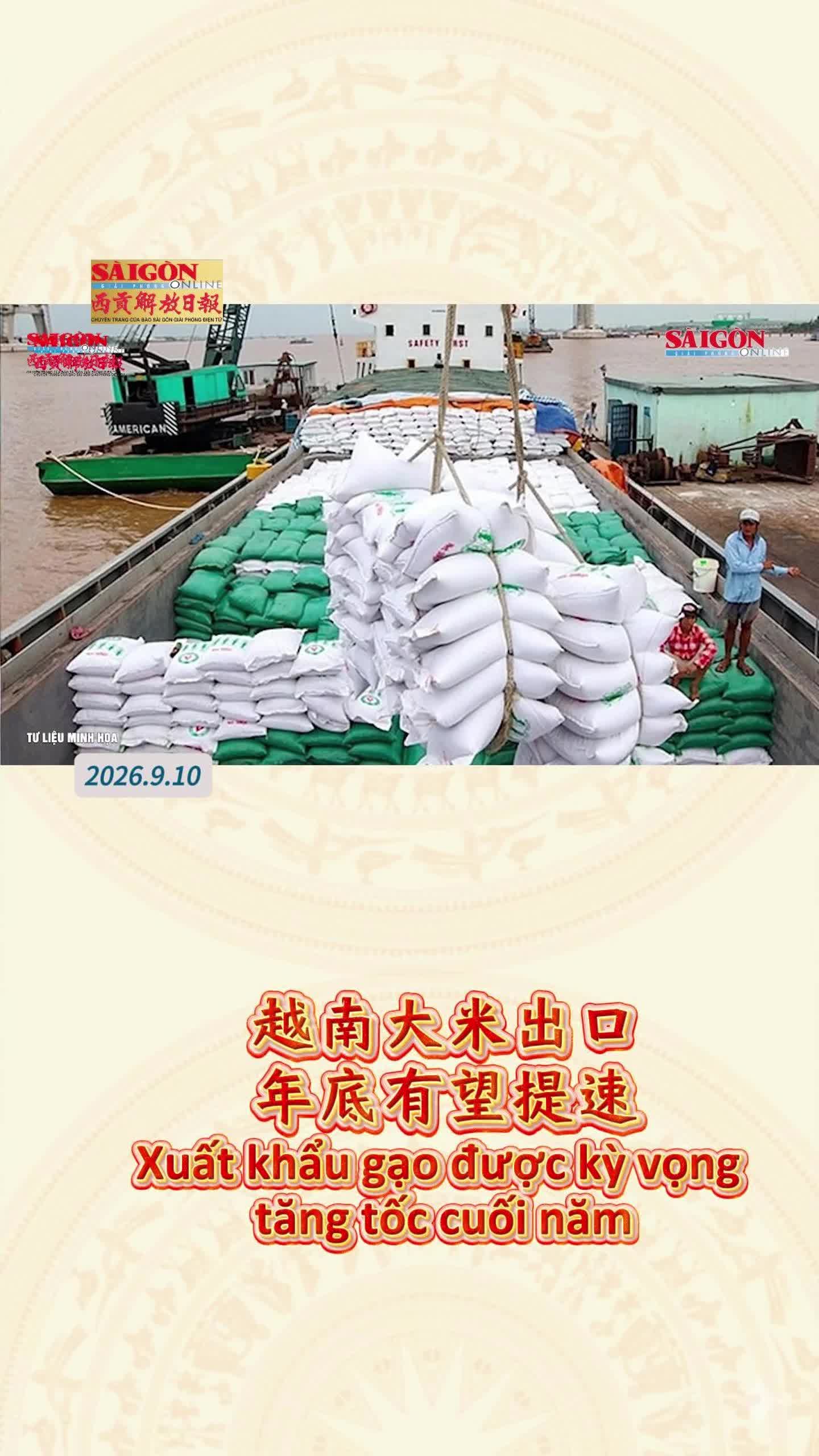 @西贡解放日报-Báo SGGP bản Hoa văn