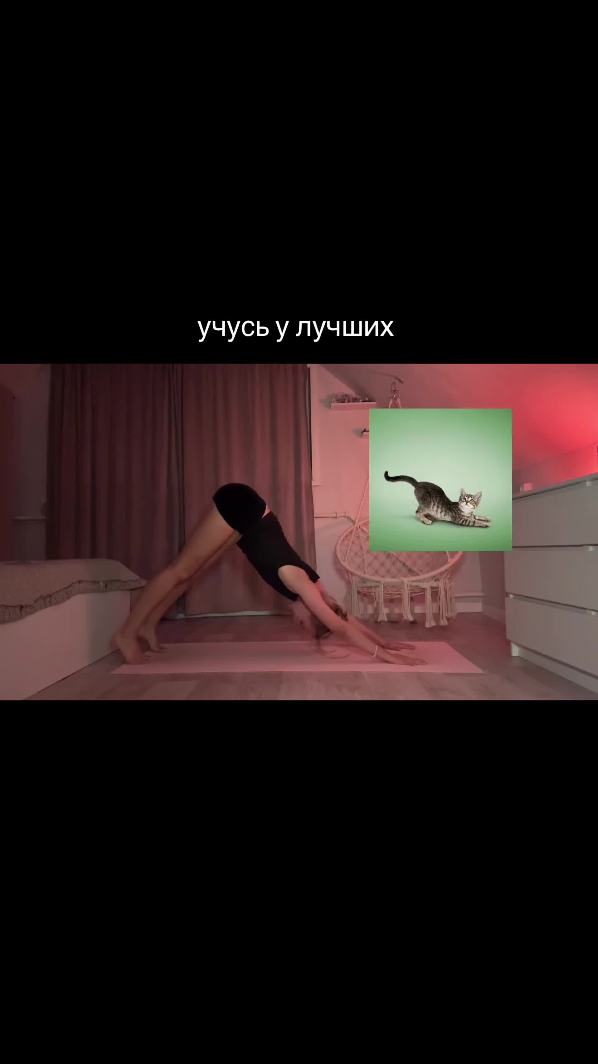 @kristinkazizi