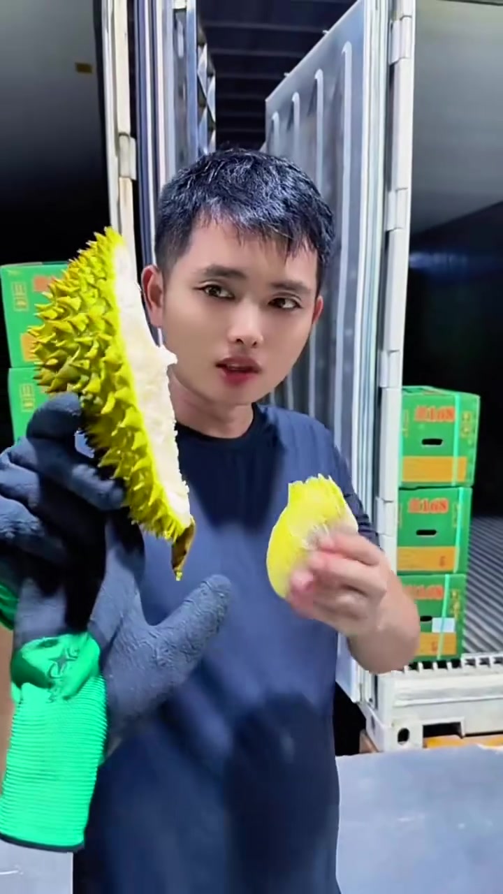 @mansaurienglan168