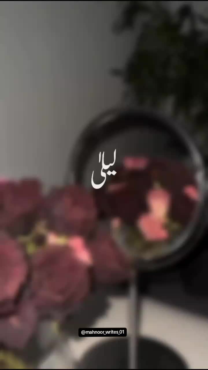 @Mahnoor Awan545