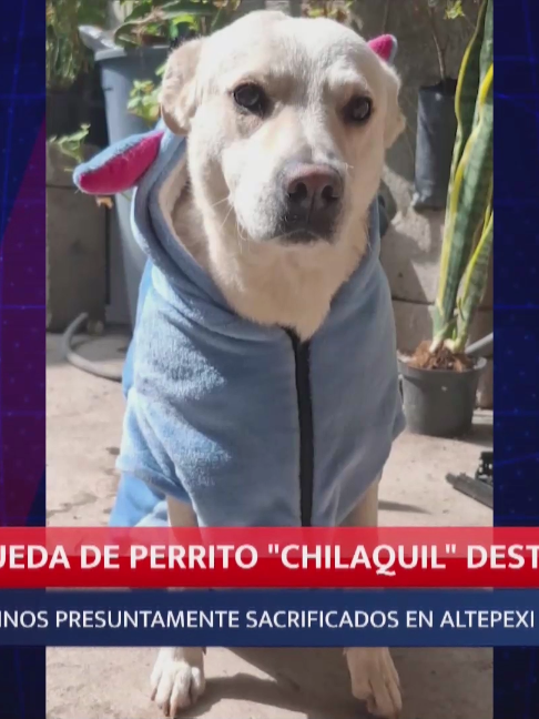 @Meganoticias Tehuac&aacute;n