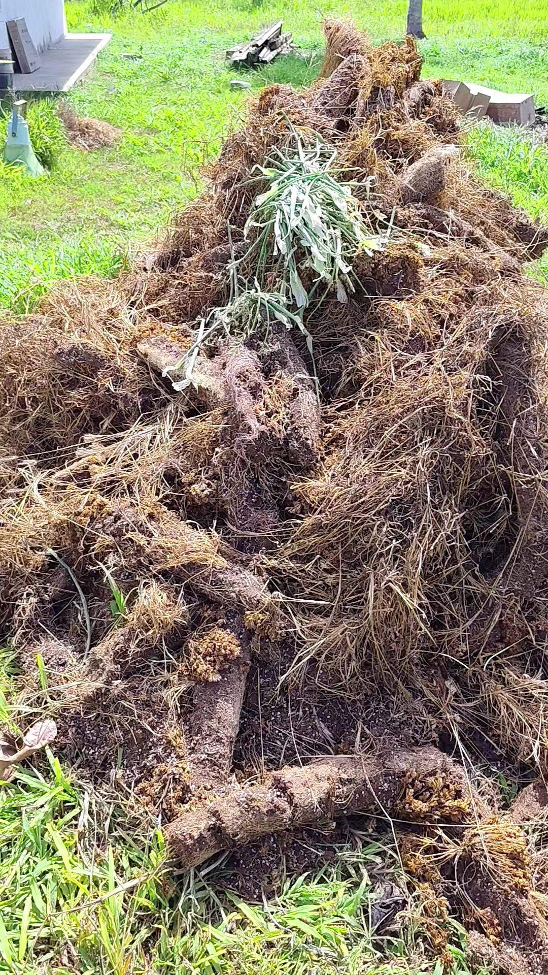 @Trini Farmer Chris 469 7467